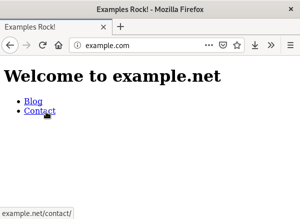 A screenshot of the website example.net, viewed via the domain example.com.