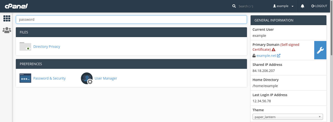 cPanel's search function. Here, we are search for the term 'password' to see all password-related options.